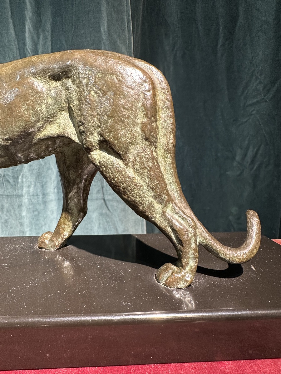 I ROCHARD PANTHÈRE -photo-6