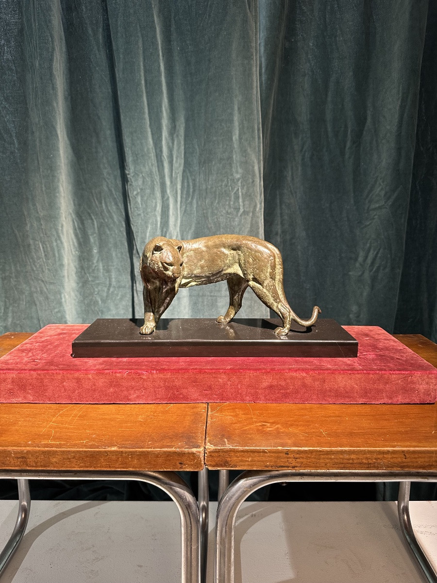 I ROCHARD PANTHÈRE -photo-7