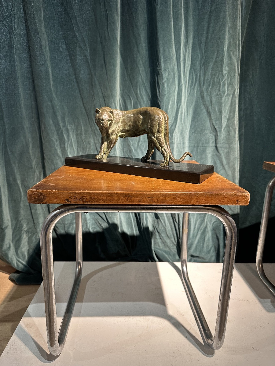 I ROCHARD PANTHÈRE -photo-8