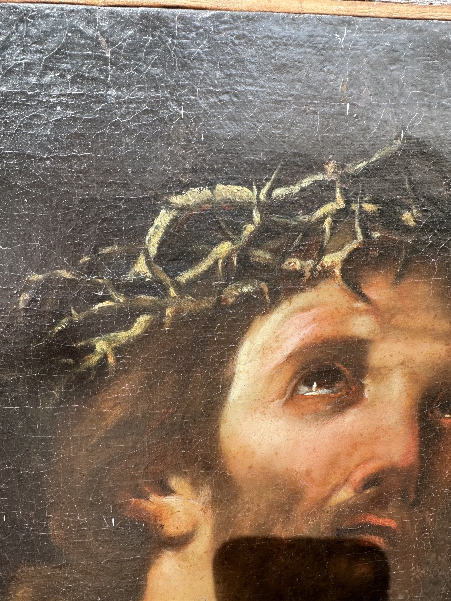 Guercino Entourage Guercino-photo-3