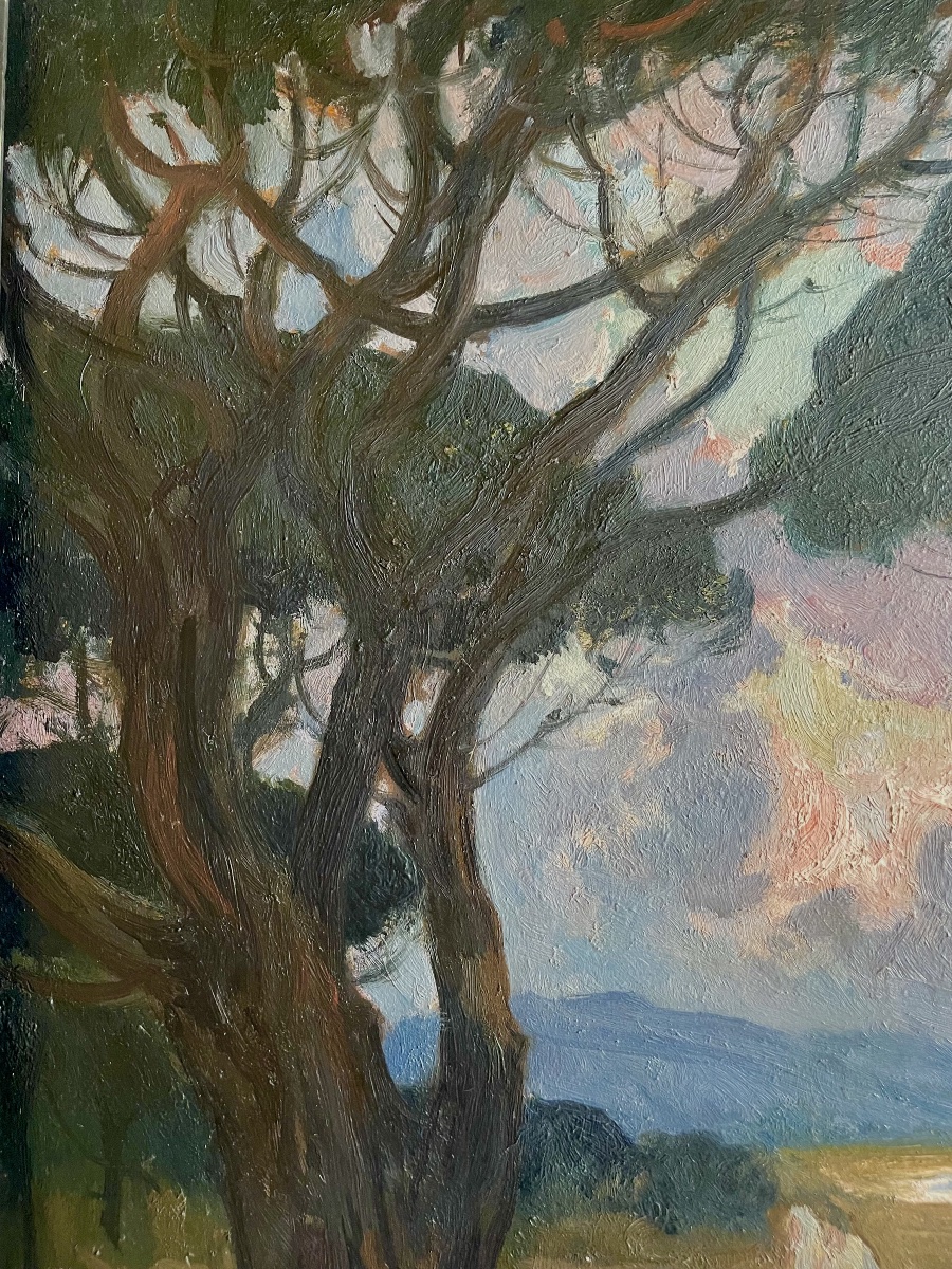 Paul Charavel (1877–1961), In The Shade Of The Pines, Oil On Panel, Signed, 1928, 55 X 51 Cm (65 X 60 Cm).-photo-5