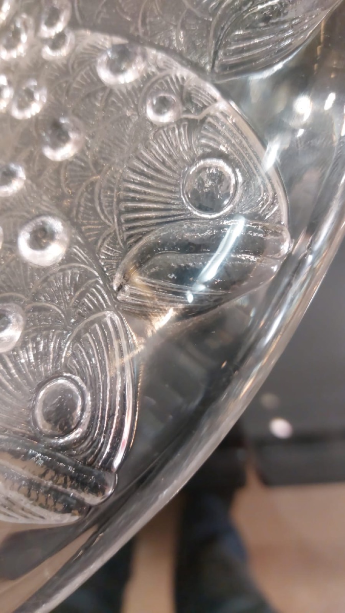 Coupe En Verre Moulée René Lalique Modèle Roscoff Poisson-photo-4