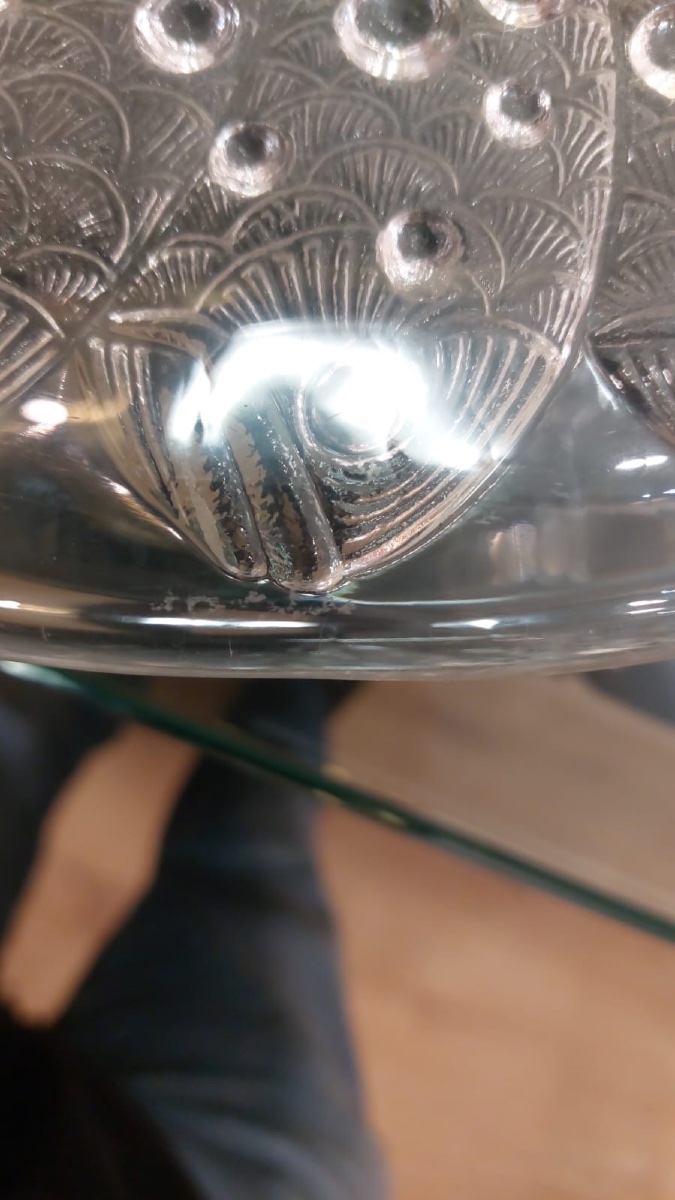 Coupe En Verre Moulée René Lalique Modèle Roscoff Poisson-photo-3