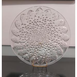 Coupe En Verre Moulée René Lalique Modèle Roscoff Poisson