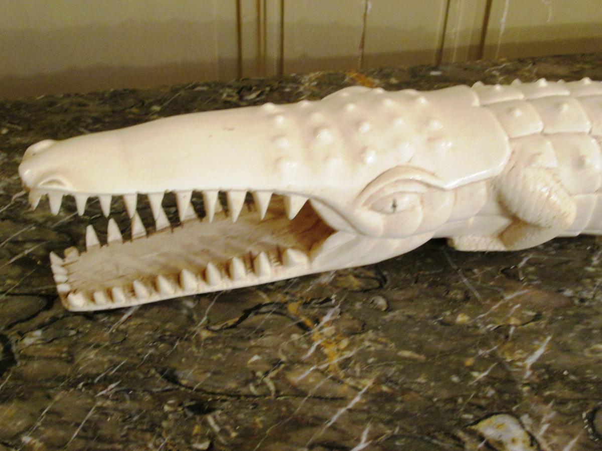 Ivory Crocodile-photo-4