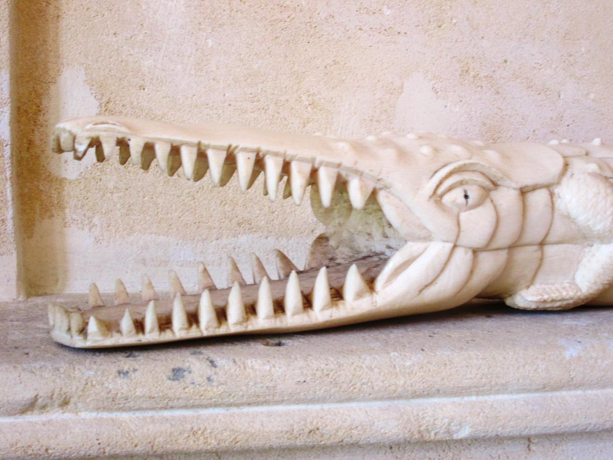 Ivory Crocodile-photo-7