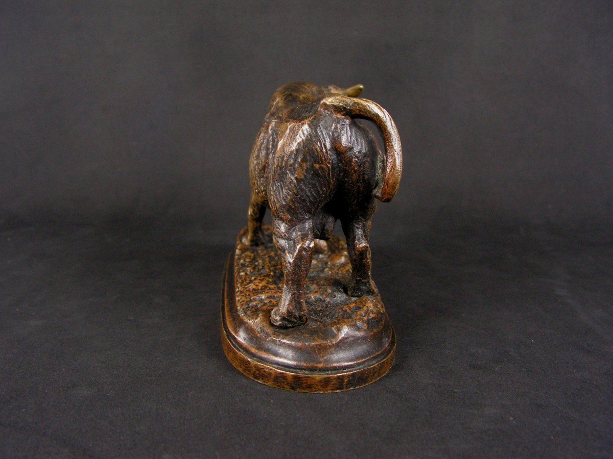 Pierre Jules Leads Bull In Bronze 19th Century-photo-1