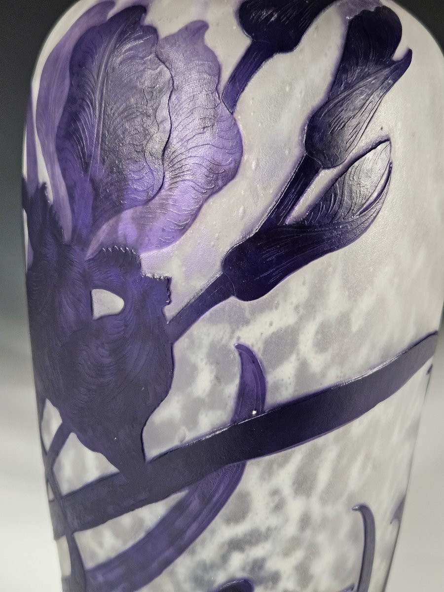 Muller Frères Lunéville - Acid-etched Iris Violets Vase - Art Nouveau-photo-2