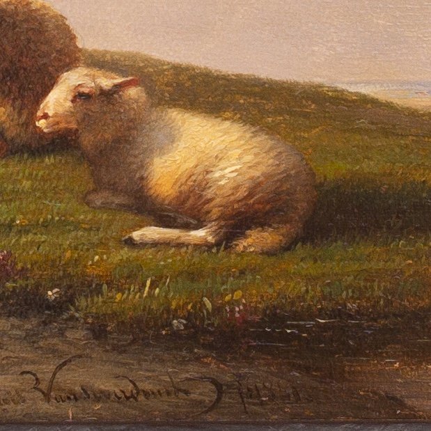 Mouton Se Reposant Dans Une Prairie Par François (frans) Van Severdonck, 1861-photo-2