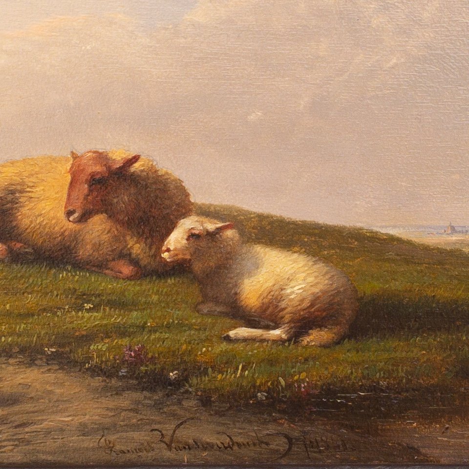 Mouton Se Reposant Dans Une Prairie Par François (frans) Van Severdonck, 1861-photo-3