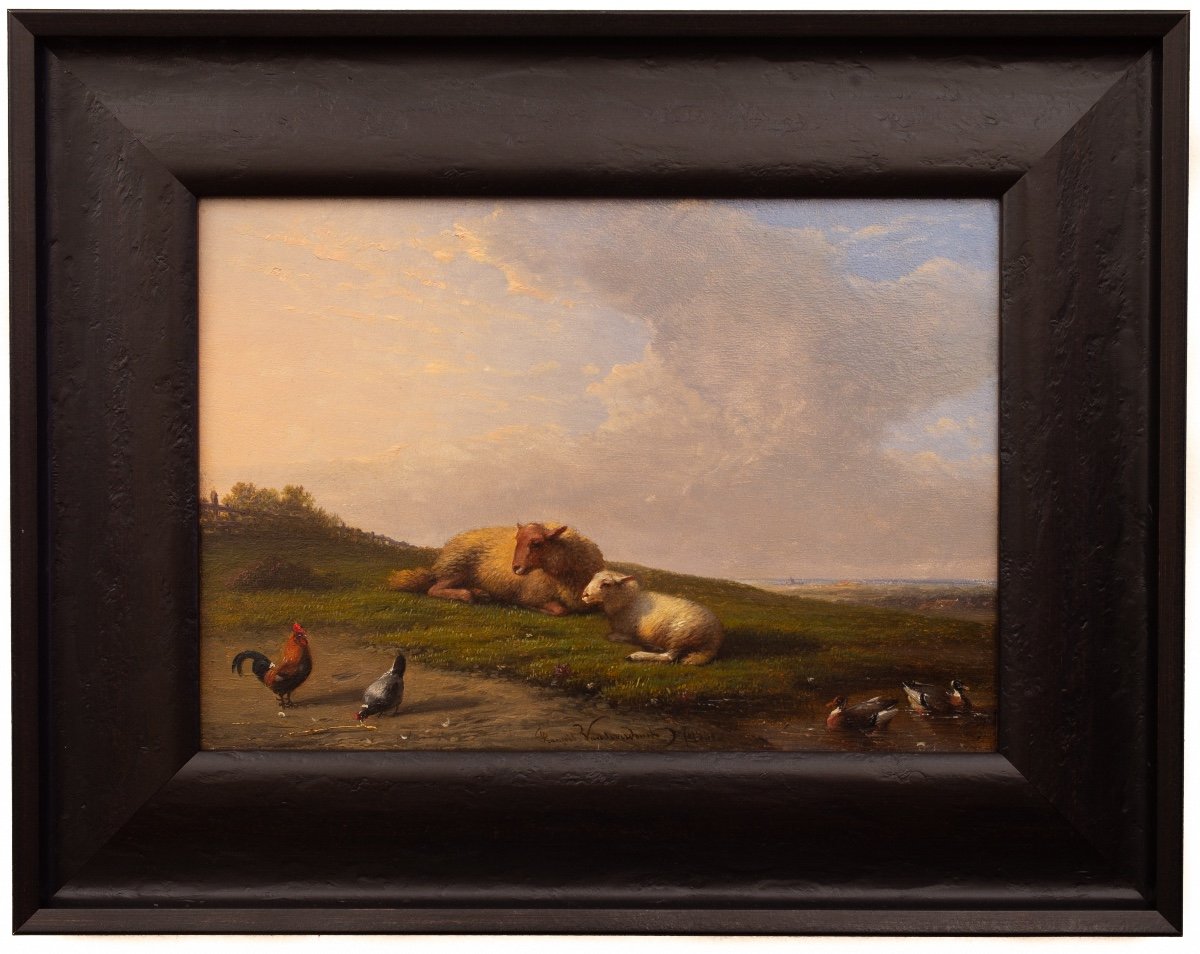 Mouton Se Reposant Dans Une Prairie Par François (frans) Van Severdonck, 1861