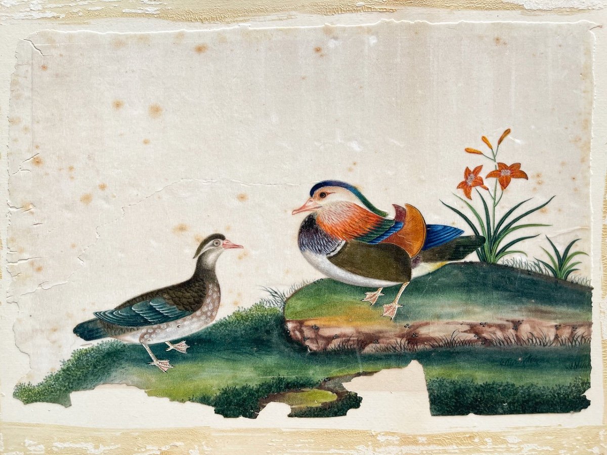 Circle Of Sunqua (active 1830-1870)  Two Mandarin Ducks-photo-2