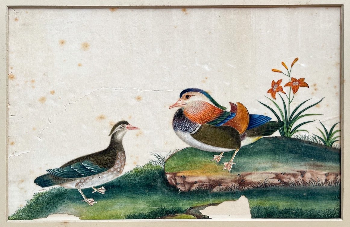 Circle Of Sunqua (active 1830-1870)  Two Mandarin Ducks