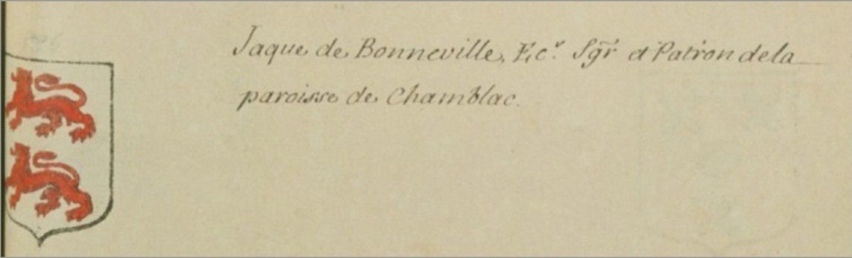 Plaque de cheminée aux armes de Jacques de Bonneville (81x81 cm)-photo-1