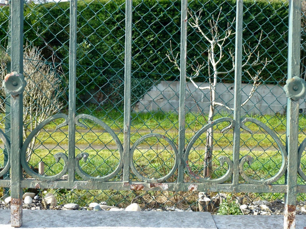 Garde-corps en fer forgé Art Nouveau-photo-4