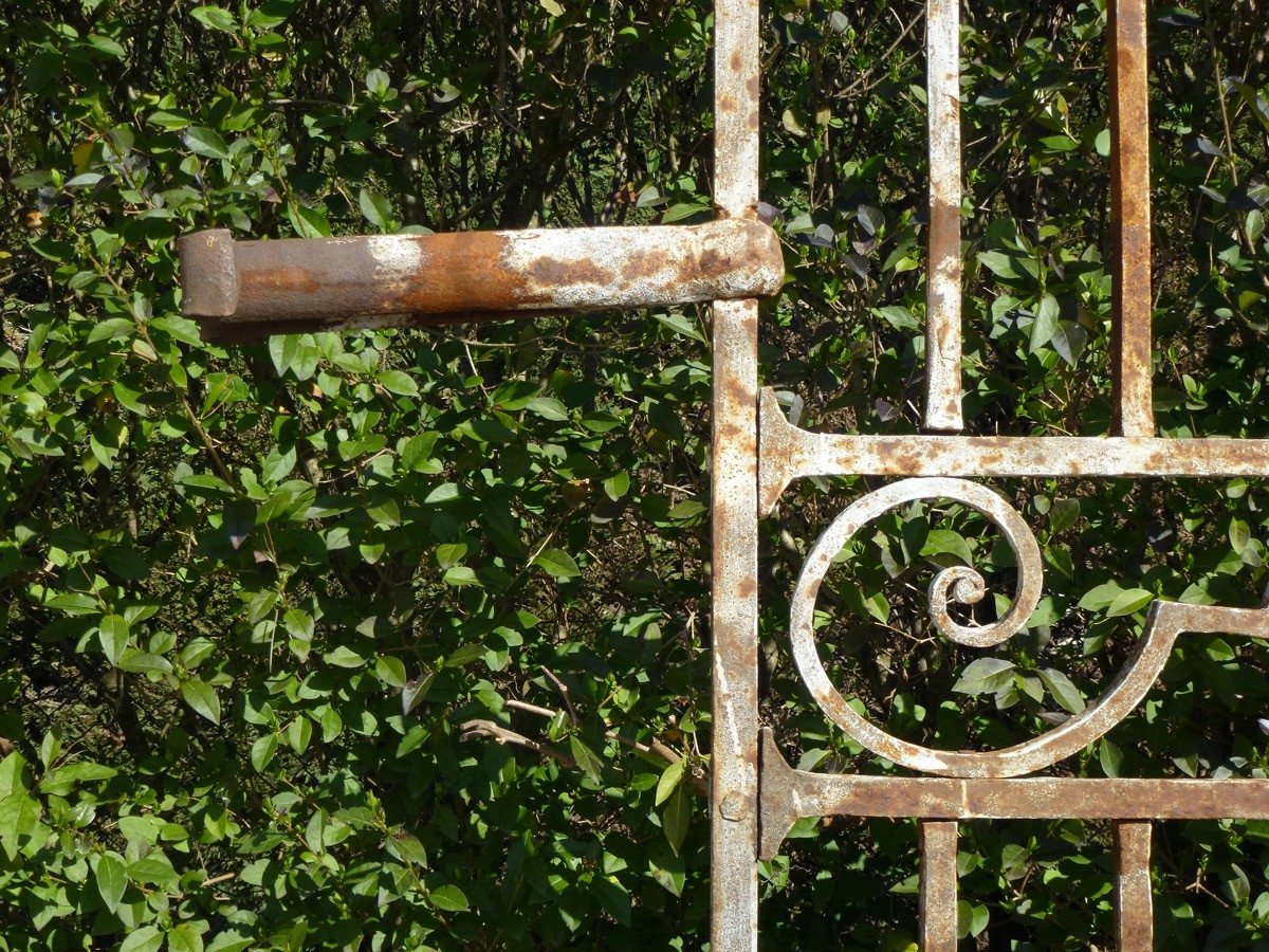 grille de parc forgée au XVIIème siècle, d'époque Louis XIV, en parfait état-photo-5