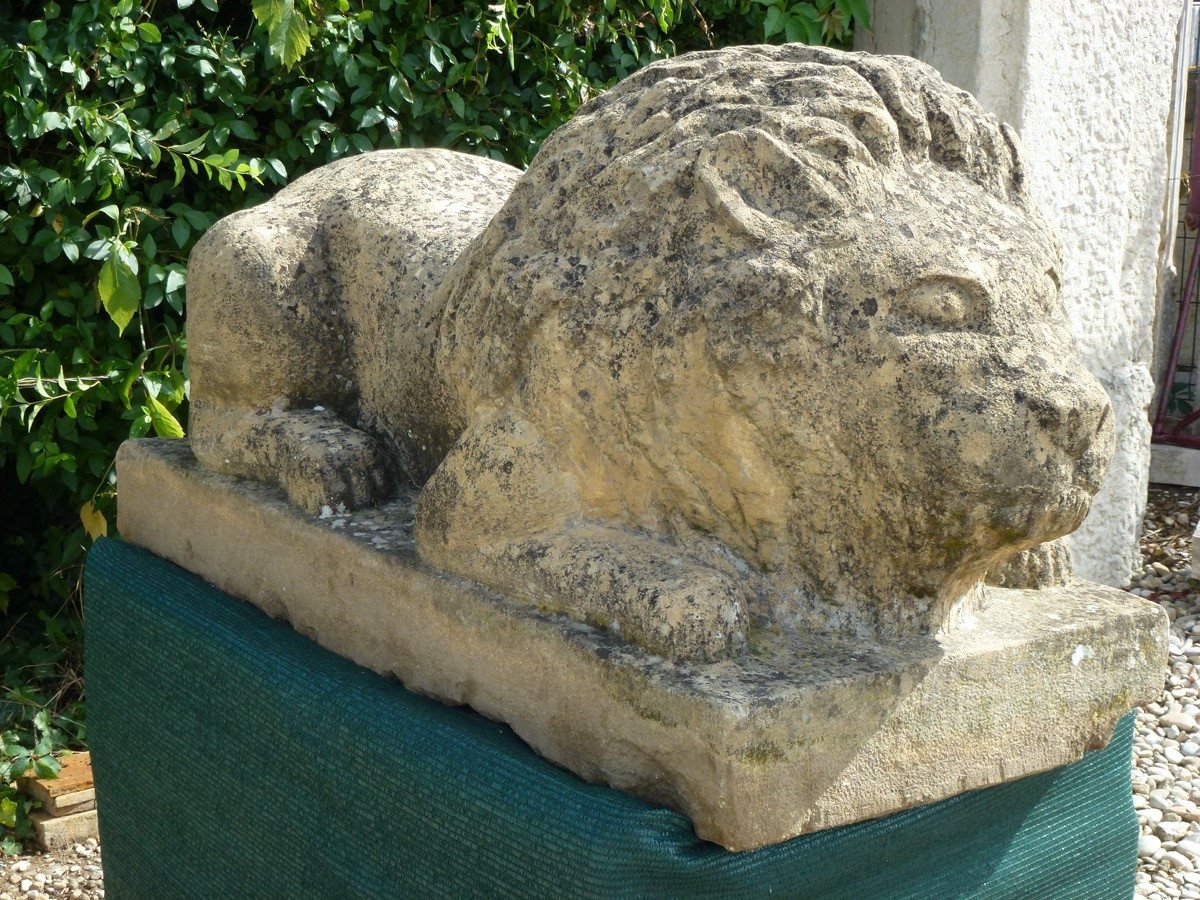 Importante statue de lion allongé en pierre-photo-2