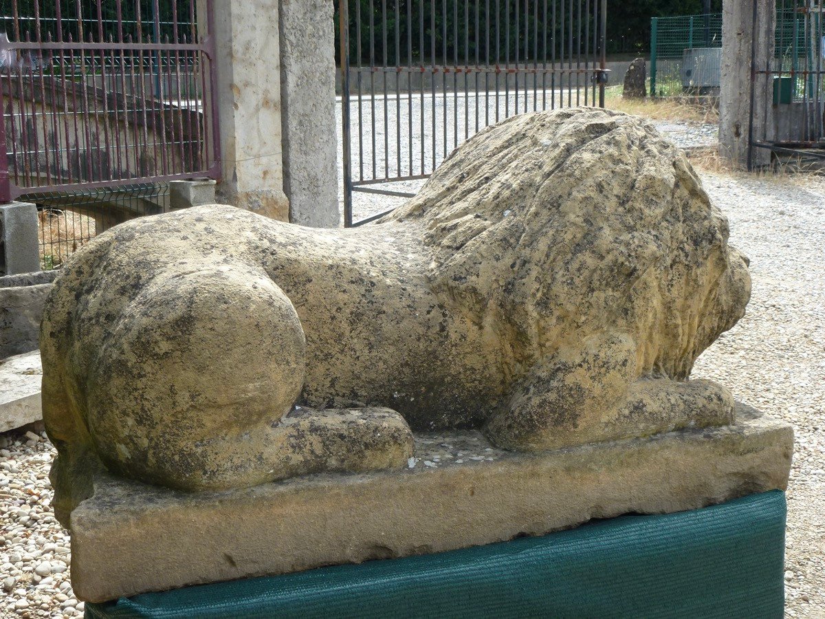 Importante statue de lion allongé en pierre-photo-4