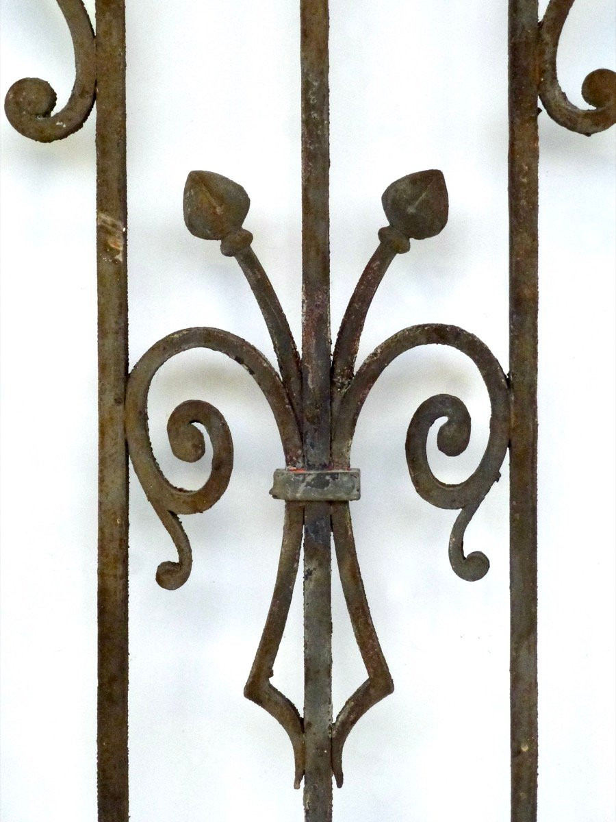 Grille de défense en fer forgé -photo-2