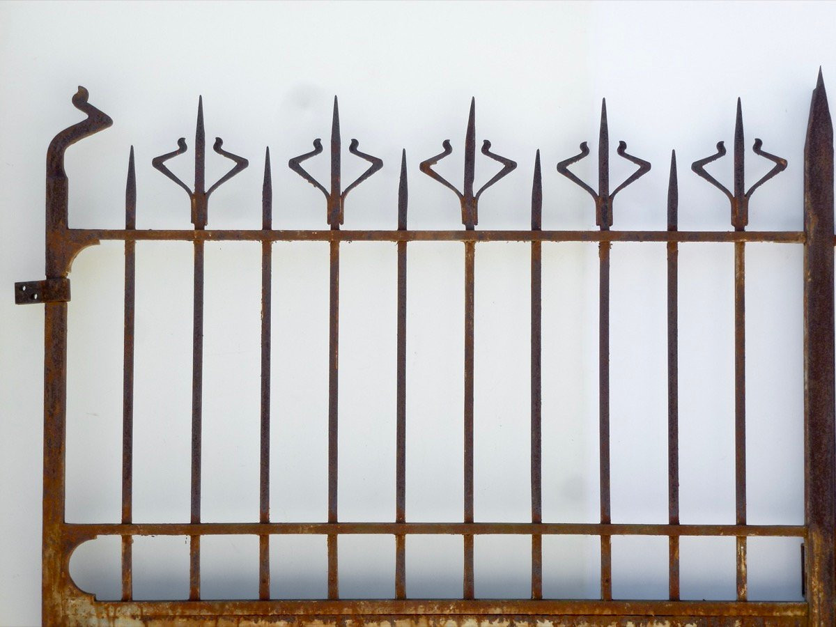 Portail en fer forgé Art Nouveau - XXe S. - Lg 306 cm  H 196 cm -photo-2