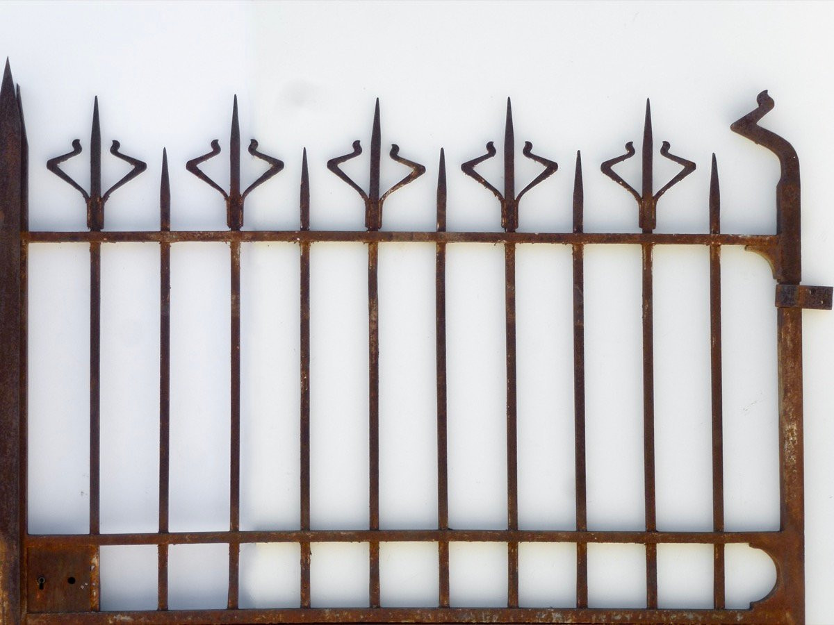 Portail en fer forgé Art Nouveau - XXe S. - Lg 306 cm  H 196 cm -photo-3