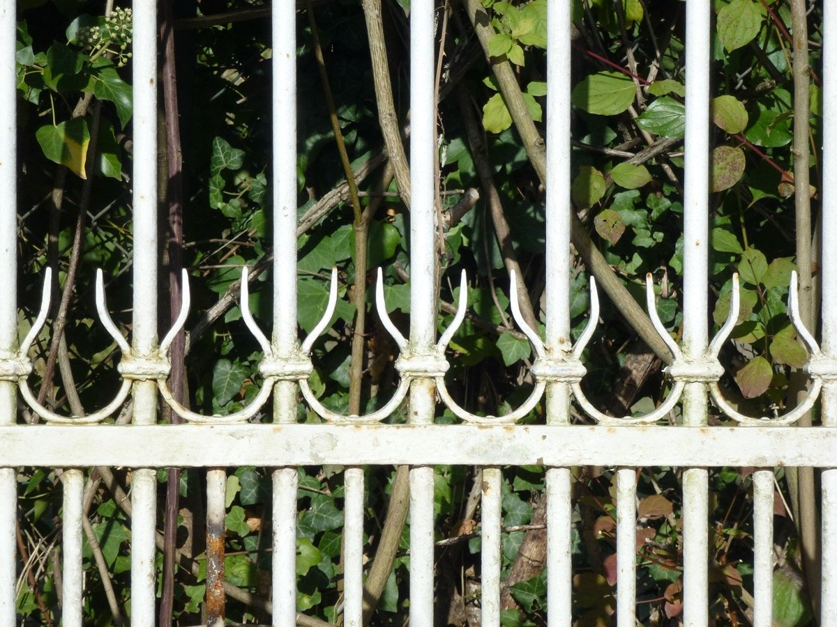 Portail ou grille de 327 cm et son portillon de 94 cm de largeur-photo-4