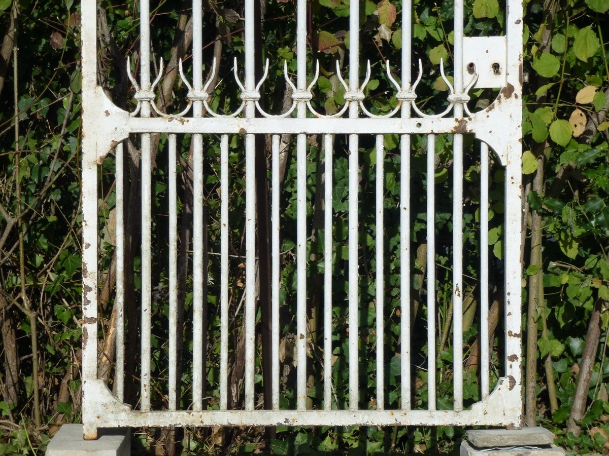 Portail ou grille de 327 cm et son portillon de 94 cm de largeur-photo-8