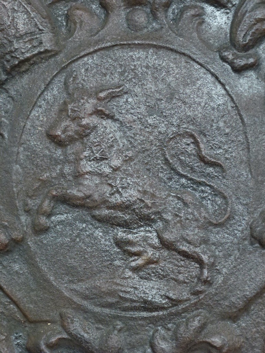 Importante plaque de cheminée aux armes de David-Nicolas de Berthier (120x95 cm)-photo-3