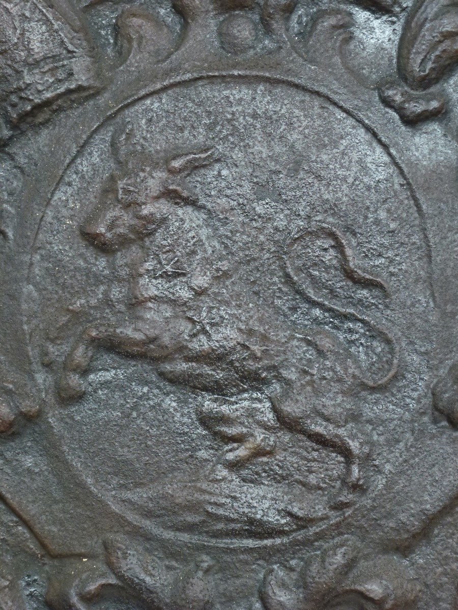 Important Fireback With The Arms Of David-nicolas De Berthier (120x95 Cm)-photo-3