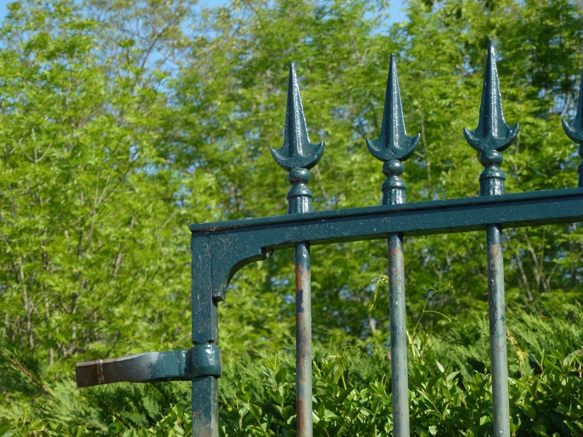 Grille ou portail en fer forgé de style Louis XVI-photo-2