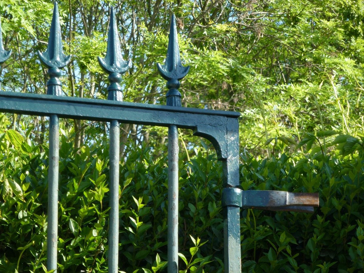 Grille ou portail en fer forgé de style Louis XVI-photo-3