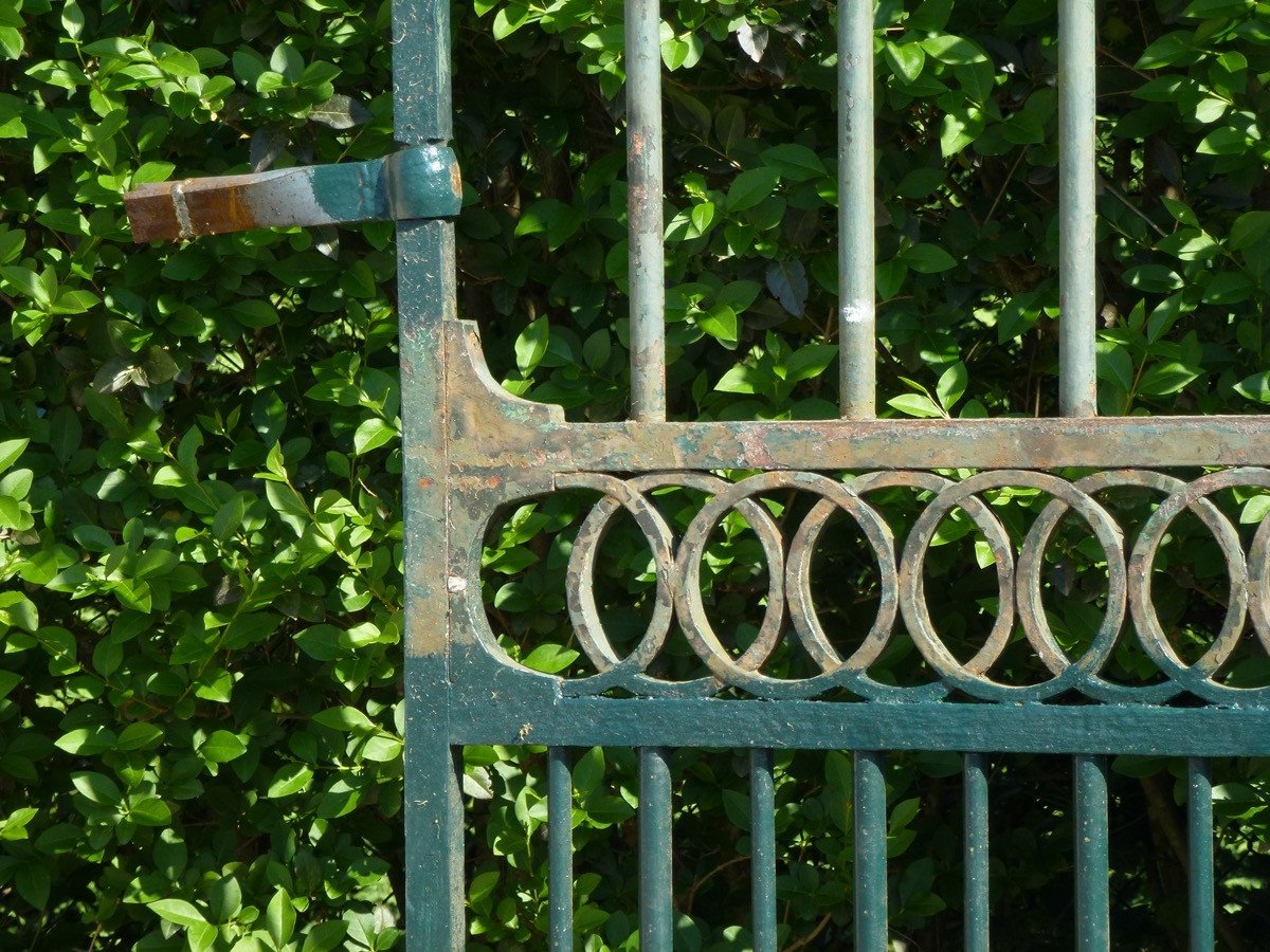 Grille ou portail en fer forgé de style Louis XVI-photo-4