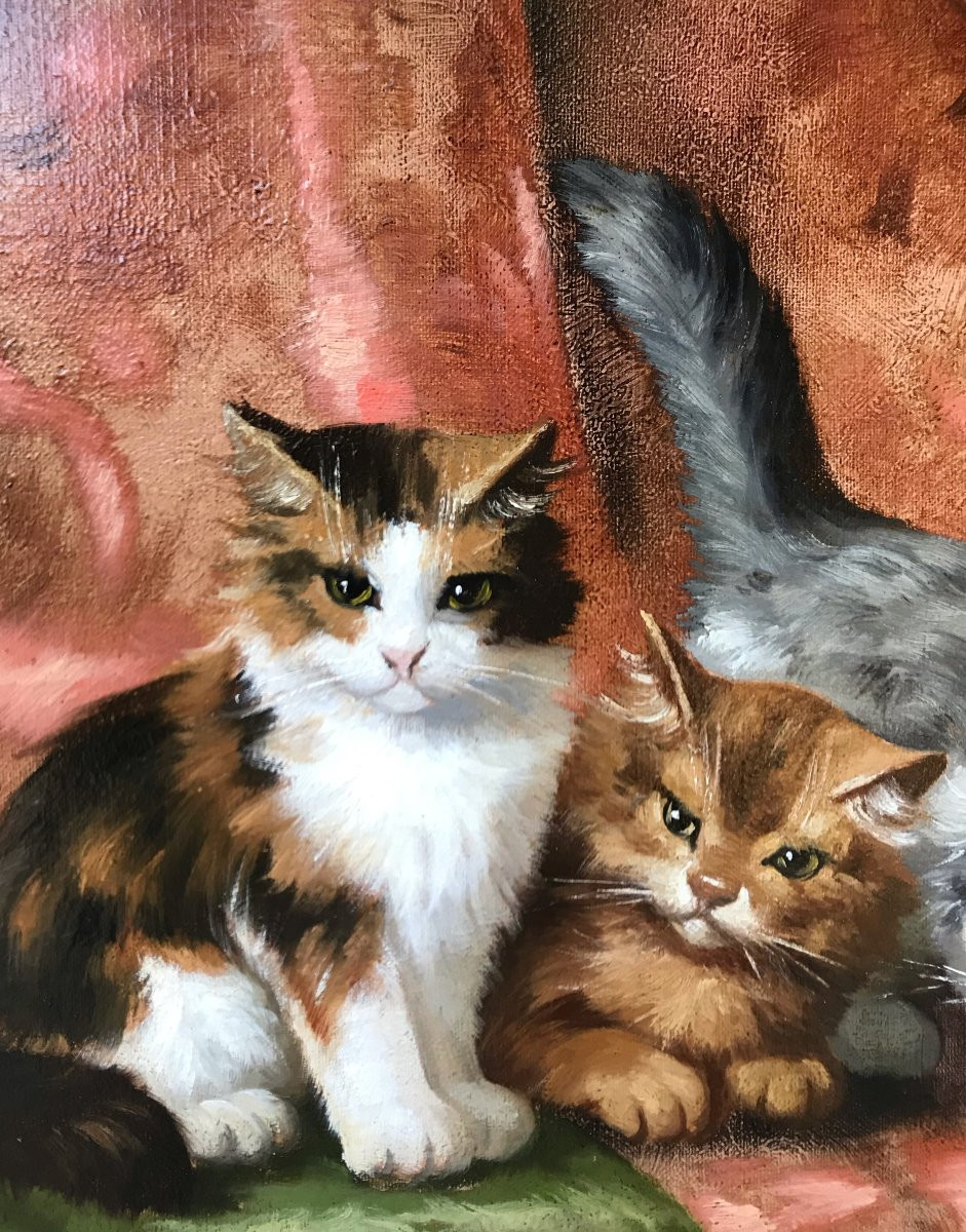 Alfred BRUNEL NEUVILLE (1852-1941) - quatre Chatons-photo-5