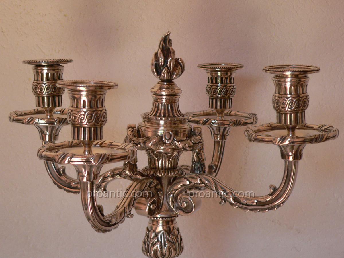 Chandelier Bronze Candelabra Silver Louis XVI Nineteenth 19th-photo-3
