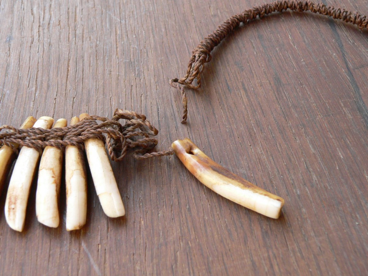 Collier Ethnique ancien De Chasseur Afrique XIX-photo-4