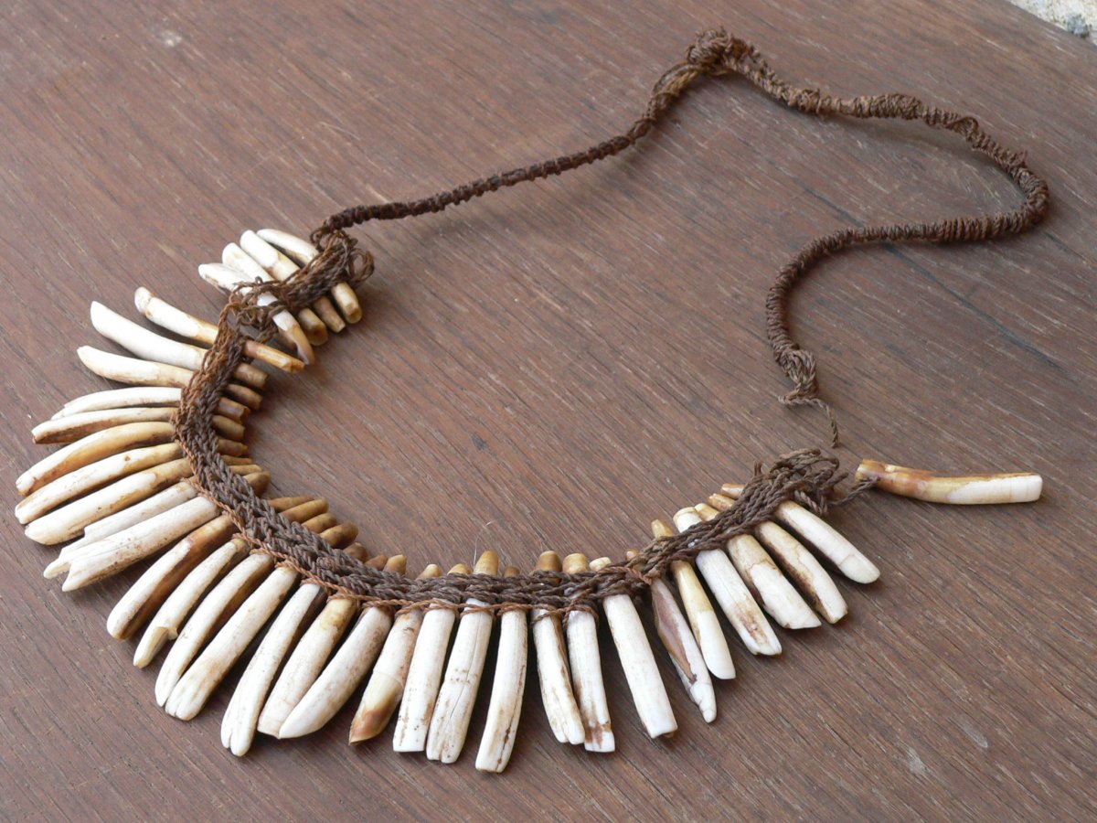 Collier Ethnique ancien De Chasseur Afrique XIX