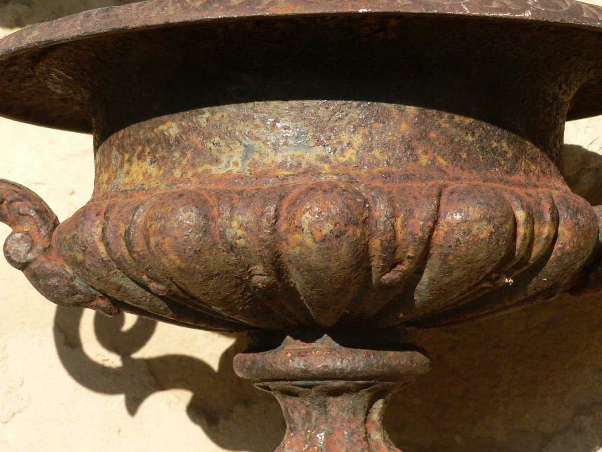 Vase De Jardin Medicis En Fonte Fin XIXe Siècle-photo-3