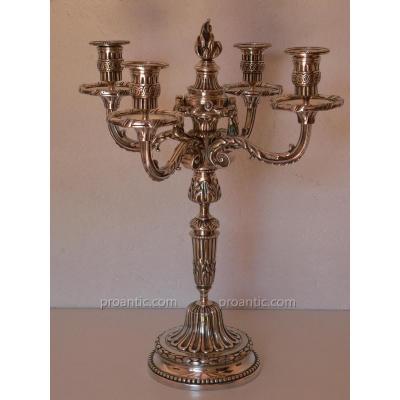 Chandelier Bronze Candelabra Silver Louis XVI Nineteenth 19th