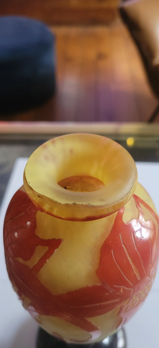 Vase " Charder /le Verre Français  "orchidées  Model"-photo-4