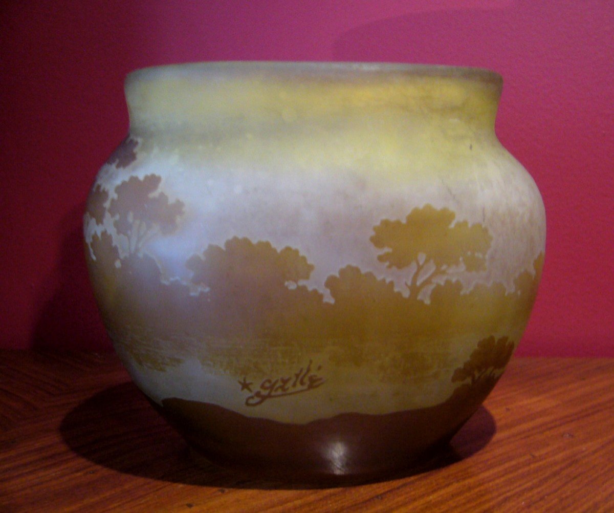 Vase Gallé à décor lacustre, signature à l'étoile-photo-4