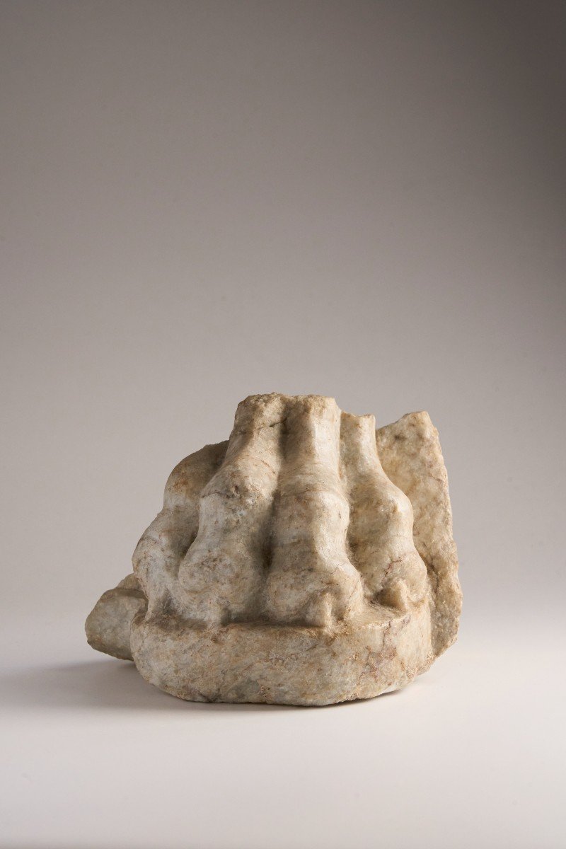 A Roman Marble Feline Paw - Roman Period-photo-2