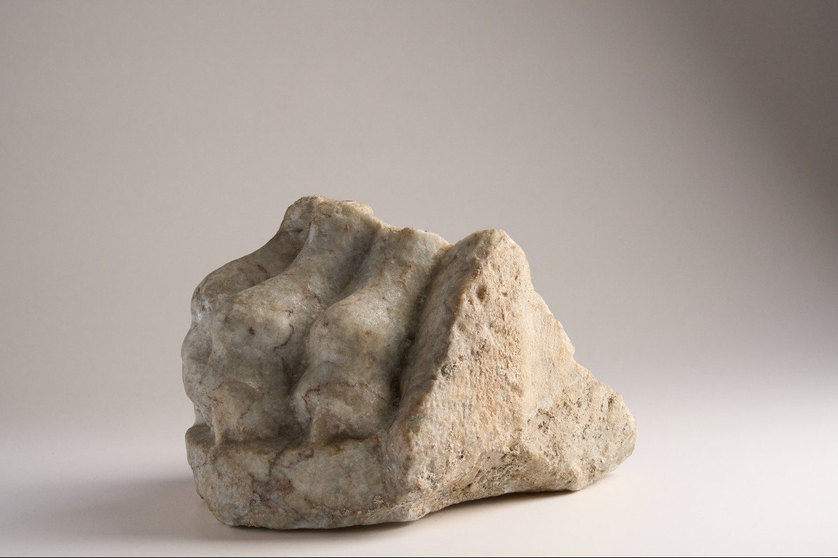 A Roman Marble Feline Paw - Roman Period-photo-3