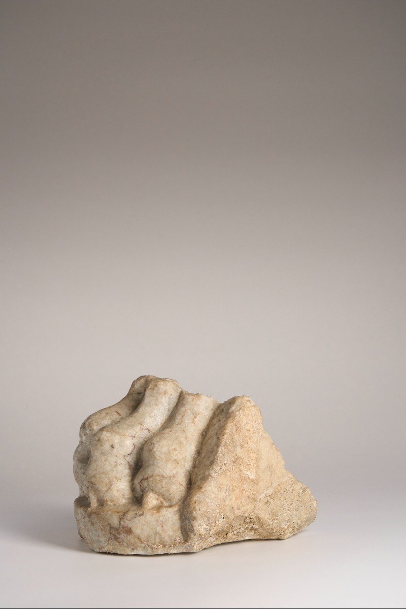 A Roman Marble Feline Paw - Roman Period-photo-1