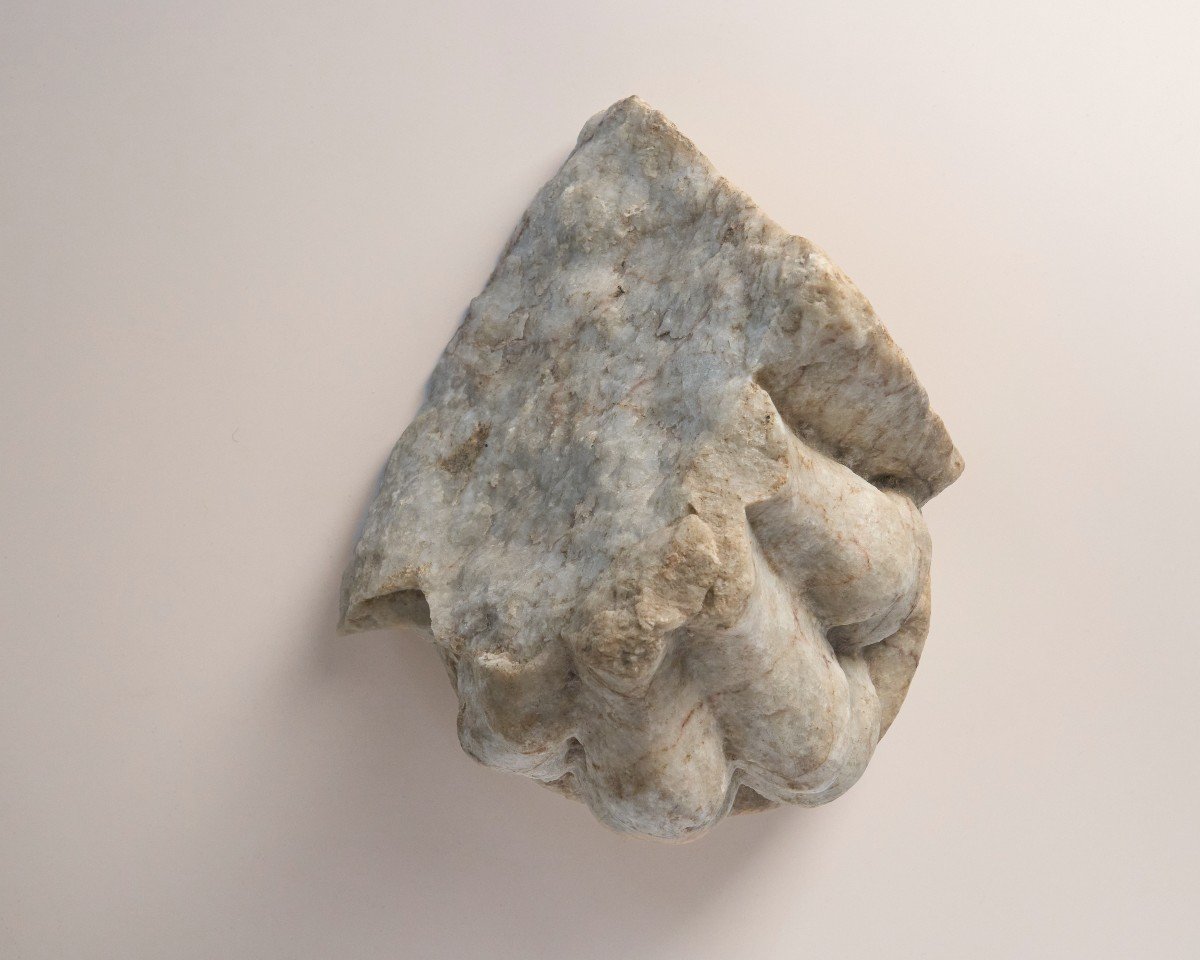 A Roman Marble Feline Paw - Roman Period-photo-2