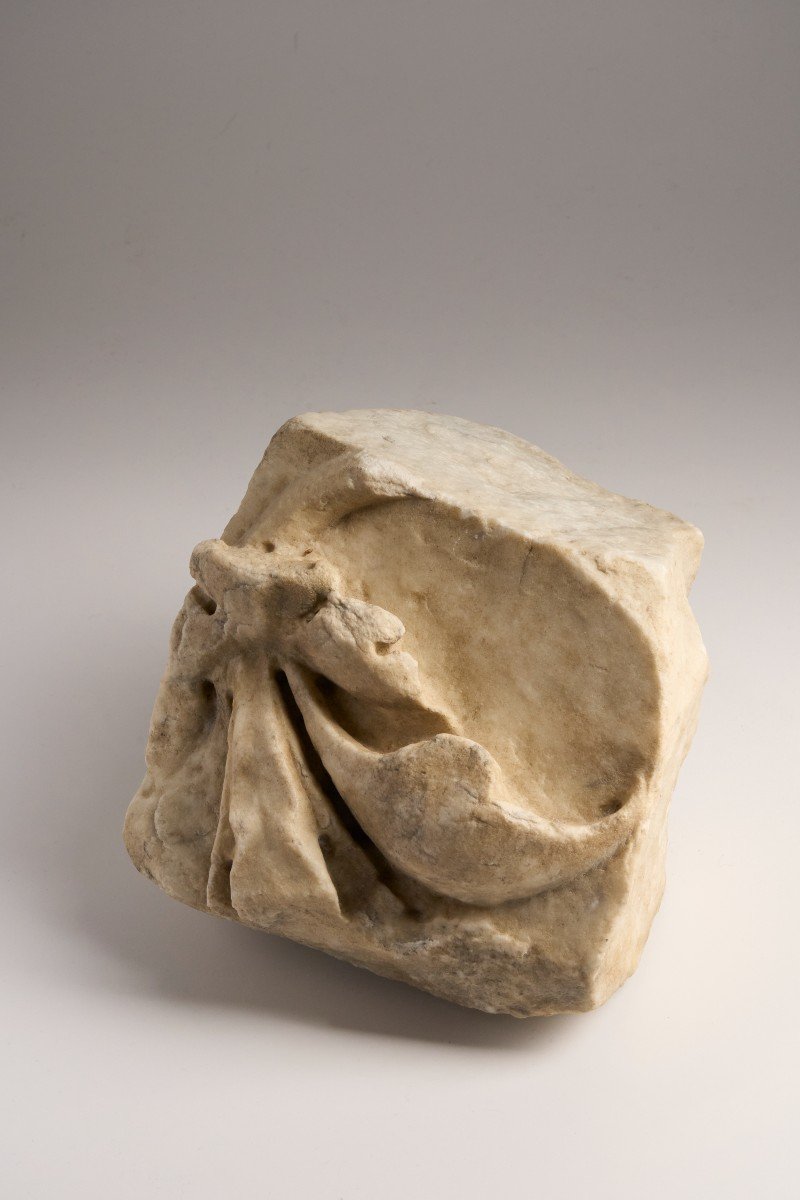 Fragment De Marbre Antique – Feuillage-photo-2