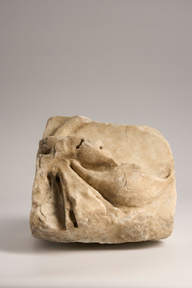 Fragment De Marbre Antique – Feuillage-photo-4