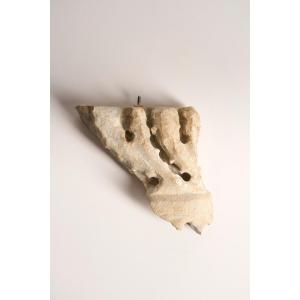 Fragment de décor végétal en marbre - Marbre, Iᵉʳ–IIᵉ siècle apr. J.-C.