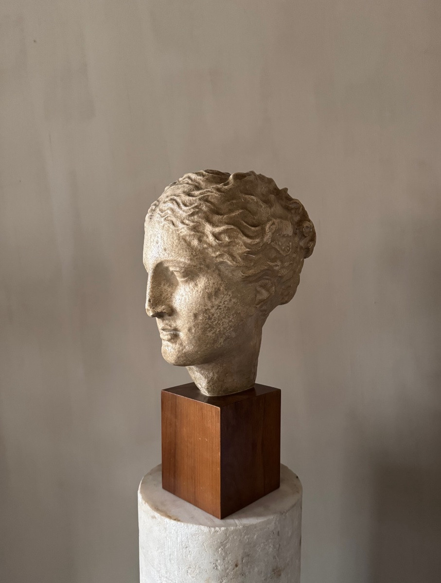 Academic Study In Plaster Of Hygieia-photo-1
