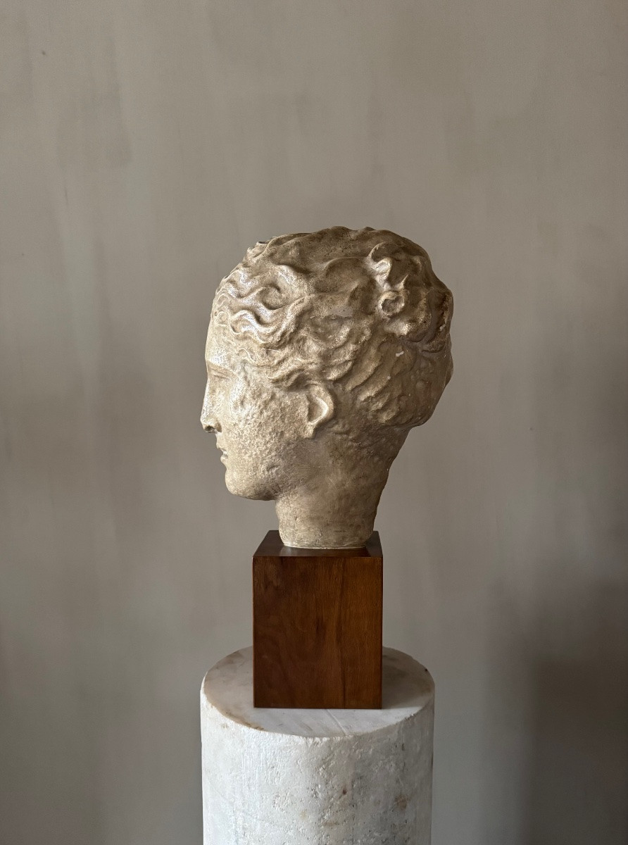 Academic Study In Plaster Of Hygieia-photo-2