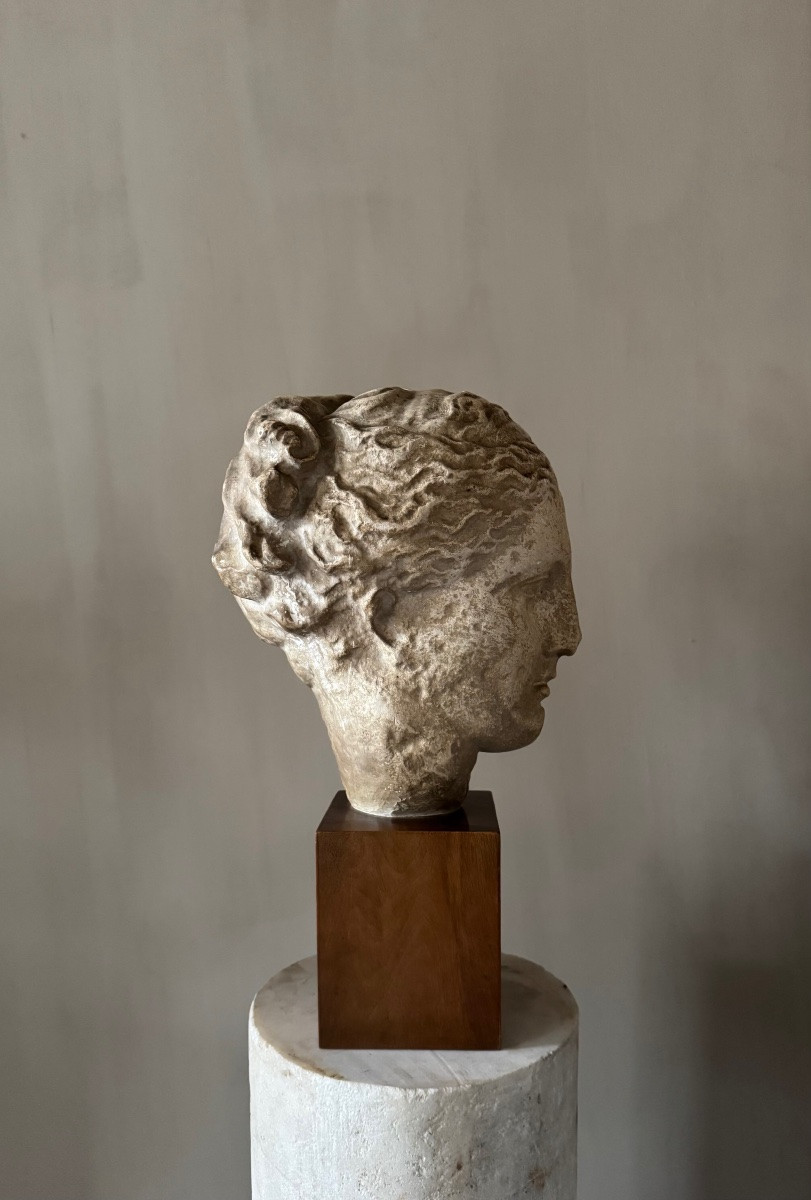 Academic Study In Plaster Of Hygieia-photo-3